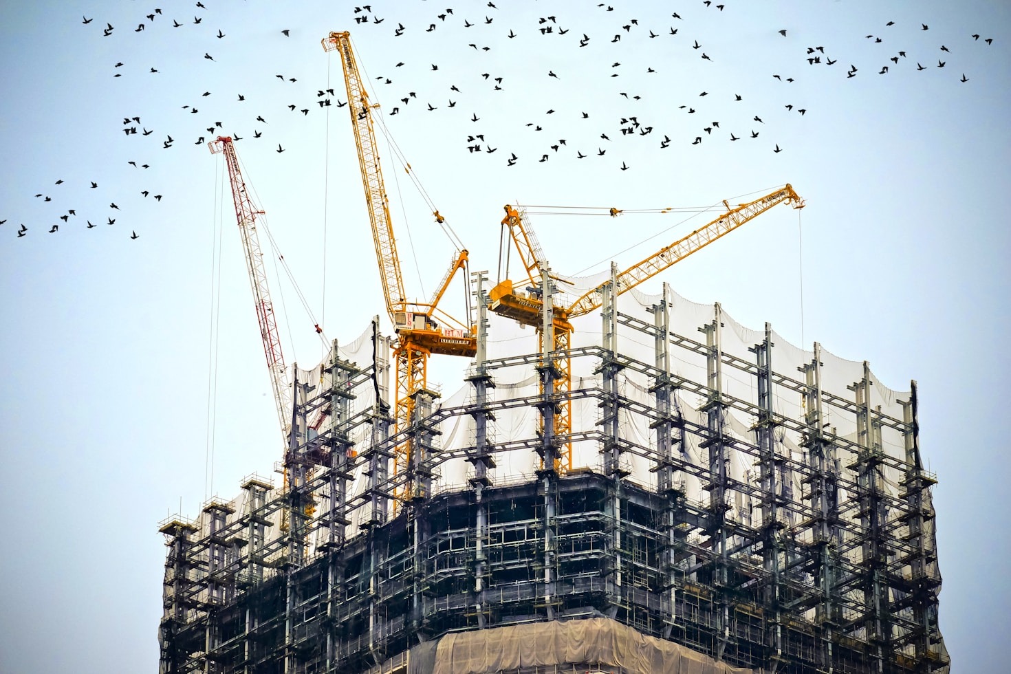 Understanding Papua New Guinea’s Unique Building Needs